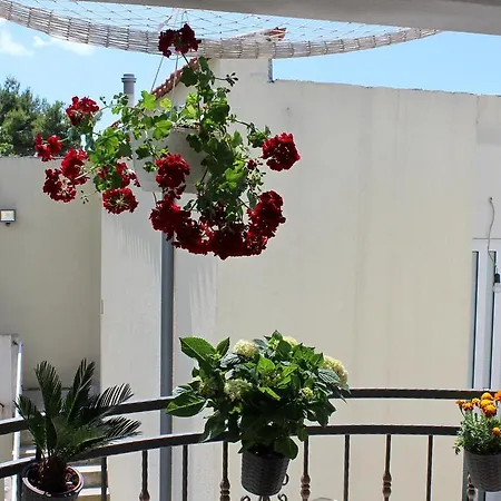 Adriona With Parking